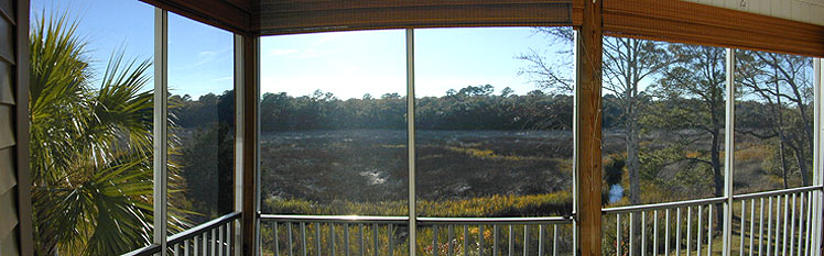 view